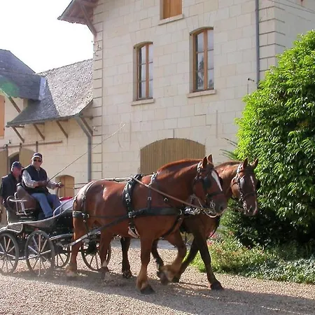 Demeure De Beaulieu Nocleg ze śniadaniem Le Coudray-Macouard