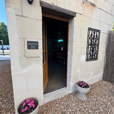 Demeure De Beaulieu 4* Le Coudray-Macouard