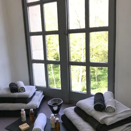 Demeure De Beaulieu 3* Le Coudray-Macouard