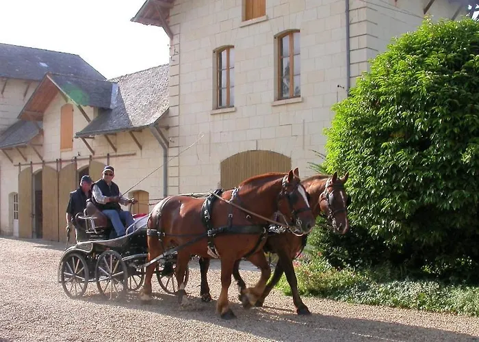 Demeure De Beaulieu Couette-café Le Coudray-Macouard
