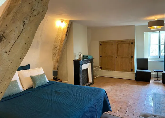 Demeure De Beaulieu Nocleg ze śniadaniem Le Coudray-Macouard