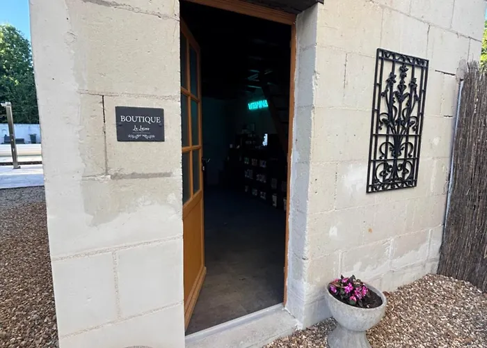 Demeure De Beaulieu 4* Le Coudray-Macouard